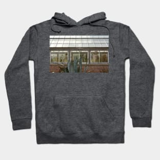 Plant Lady Succulent Cactus Greenhouse Hoodie